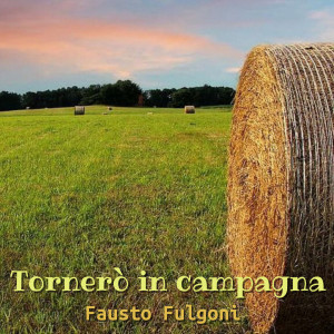Fausto Fulgoni的專輯Tornerò in campagna