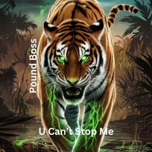 收聽Pound Boss的How Can You Stop Me歌詞歌曲