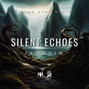 Album Silent Echoes from Jah Rain