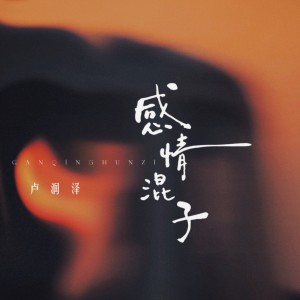 Listen to 感情混子（DJ豪大大版） (伴奏) song with lyrics from 卢润泽