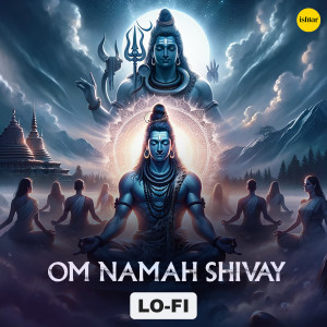 Roop Kumar Rathod的專輯Om Namah Shivay (Lo Fi)