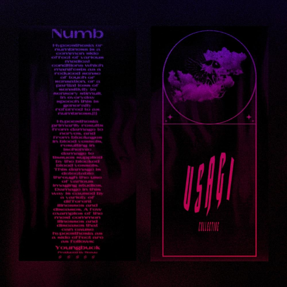Numb (feat. RØŹÚÚ) (Explicit)