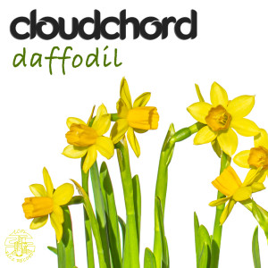 อัลบัม Daffodil ศิลปิน Cloudchord