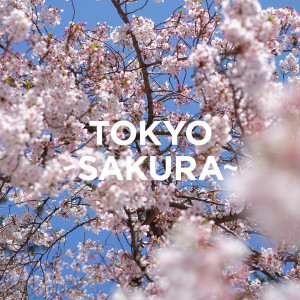 อัลบัม TOKYO - SAKURA - ศิลปิน Japan Various Artists