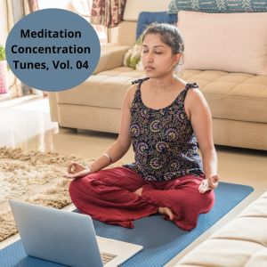 Album Meditation Concentration Tunes, Vol. 04 from Various
