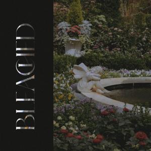 收聽New Season的Bleached歌詞歌曲