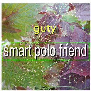 Listen to farm car smart polo frien song with lyrics from Guty