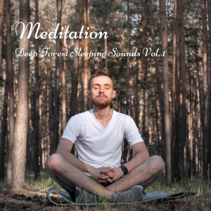 Meditation: Deep Forest Sleeping Sounds Vol. 1