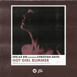ดาวน์โหลดและฟังเพลง Hot Girl Bummer (Explicit) พร้อมเนื้อเพลงจาก Niklas Dee