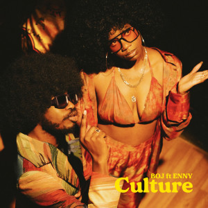 Album Culture (Explicit) from Enny