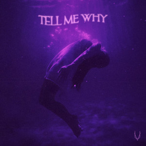 Listen to Tell Me Why song with lyrics from SouMix