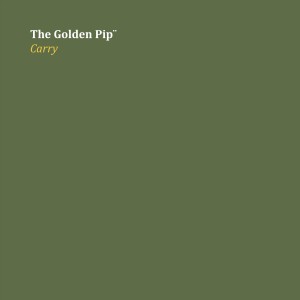 收聽The Golden Pip¨的Carry歌詞歌曲