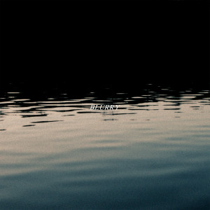 Album Blurry from Fever Dream