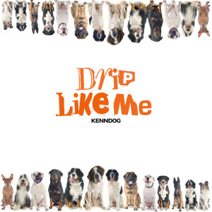 收聽Kenndog的Drip Like ME (Explicit)歌詞歌曲