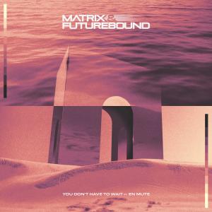 Dengarkan lagu You Don't Have To Wait (feat. En Mute) nyanyian Matrix & Futurebound dengan lirik