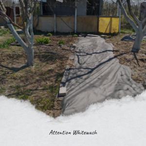 Various的专辑Attention Whitewash