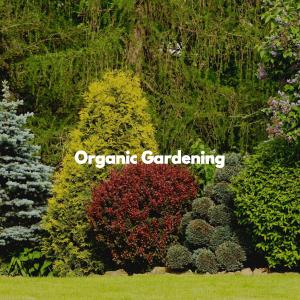 Album Organic Gardening from Easy Sunday Morning Music