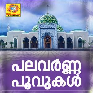 Listen to Alifilek Adutha MM song with lyrics from Siru mon
