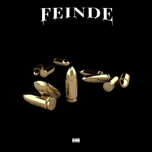 Album Feinde (Explicit) from 