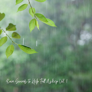 Sleep Sounds of Nature的專輯Rain Sounds to Help Fall Asleep Vol. 1