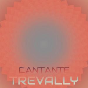 ดาวน์โหลดและฟังเพลง Cantante Trevally พร้อมเนื้อเพลงจาก Davo Boel