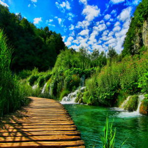 Listen to Rain in Window song with lyrics from Nature Sounds Nature Music