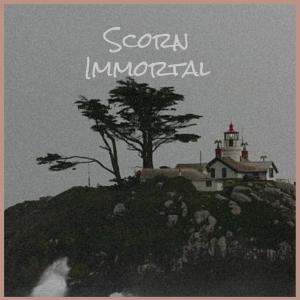 Listen to Obtain Merci song with lyrics from Valon Guli