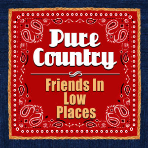 收聽Pure Country Hits的Friends in Low Places歌詞歌曲