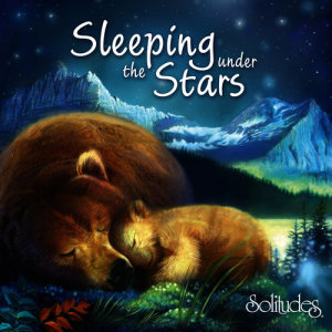 ดาวน์โหลดและฟังเพลง Happiness พร้อมเนื้อเพลงจาก Dan Gibson's Solitudes