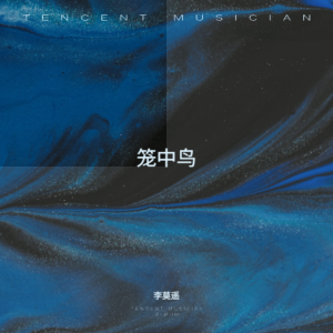 收听李莫遥的笼中鸟 (氛围律动版)歌词歌曲
