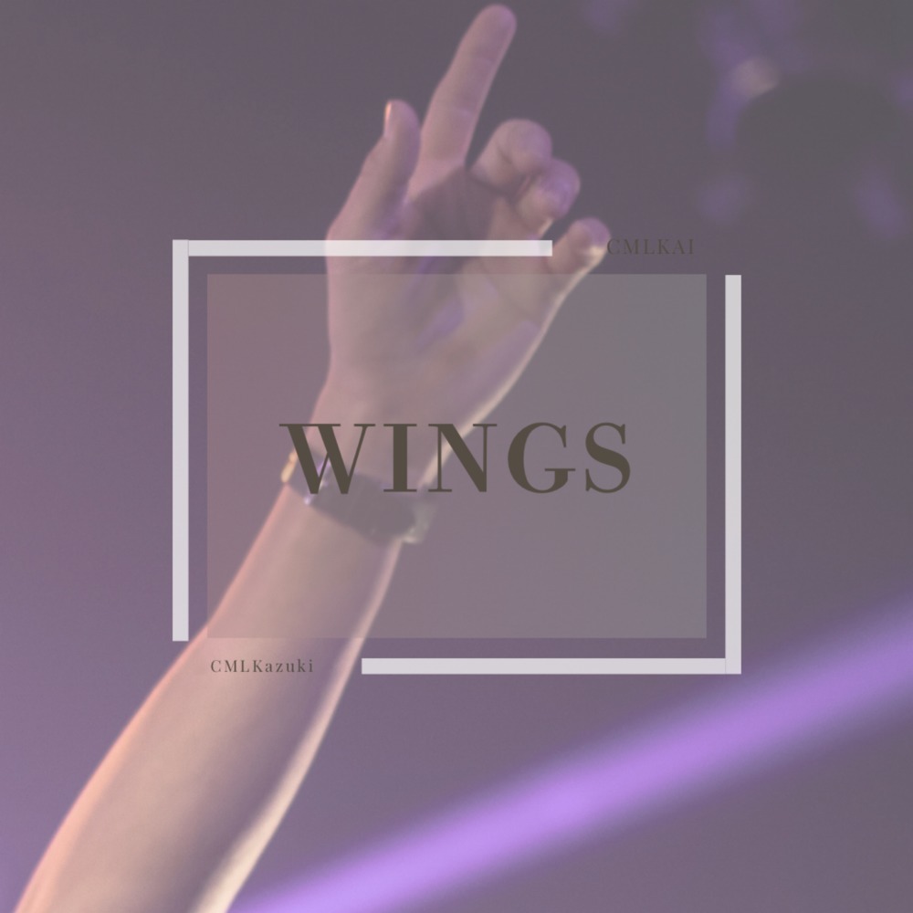 WINGS