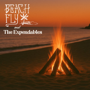 Beach Fly的專輯Feel it So