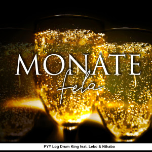 Listen to Monate Fela song with lyrics from PYY Log Drum King