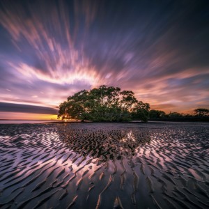 Listen to 523Hz Whole Body Healing song with lyrics from Ventura Sesala