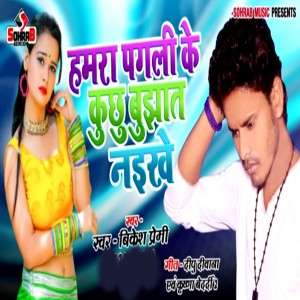 Listen to Hamra Pagali Ke Kuchu Bujhat Naikhe song with lyrics from Bikesh premi