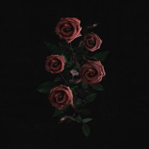ดาวน์โหลดและฟังเพลง Drown(Your Echo) พร้อมเนื้อเพลงจาก Lost Boys