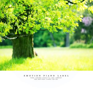 Album Study music (healing piano) that calms the mind of the examinee from Love Potion