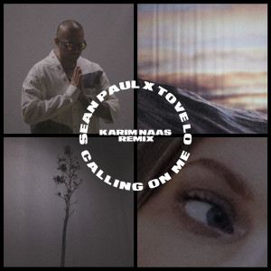 อัลบัม Calling On Me ศิลปิน Sean Paul