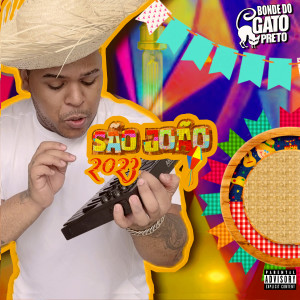 收聽Gato Preto的Dona da Minha Cabeça歌詞歌曲