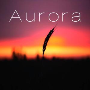 Album En Mi Soledad from Aurora（欧美）