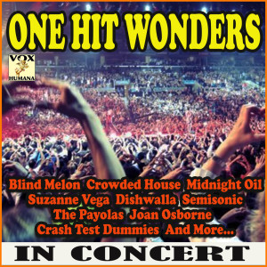 Various Artists的專輯One Hit Wonders in Concert (Live)