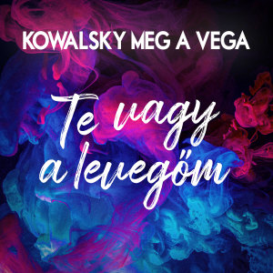 Dengarkan Te vagy a levegőm lagu dari Kowalsky Meg A Vega dengan lirik