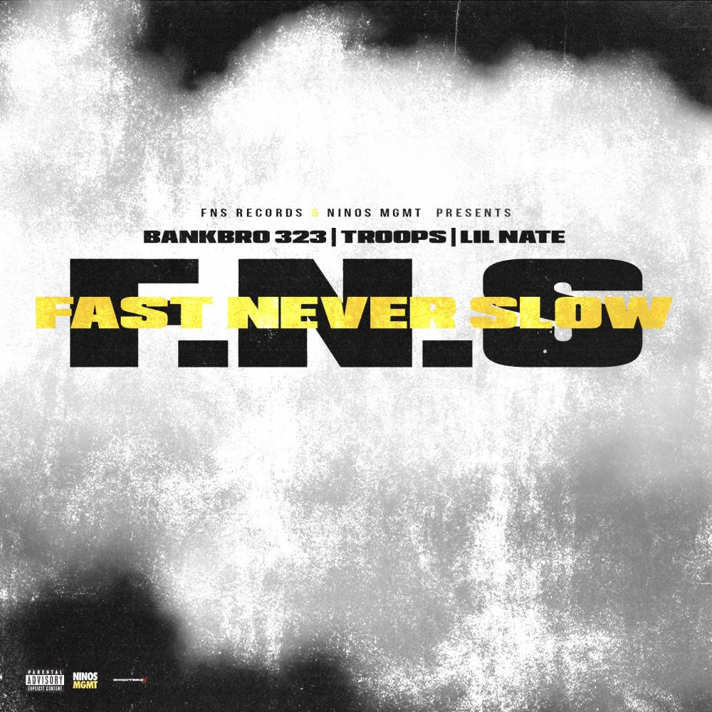 F.N.S (feat. Lil Nate & Troops) (Explicit)