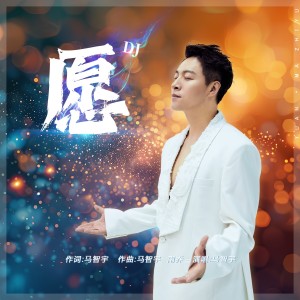 Album 愿（DJ版） from 马智宇