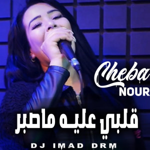 Listen to Galbi 3Elih Ma Sebar (Live) song with lyrics from Cheba Nour