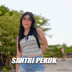 Album Santri Pekok from DS AXL