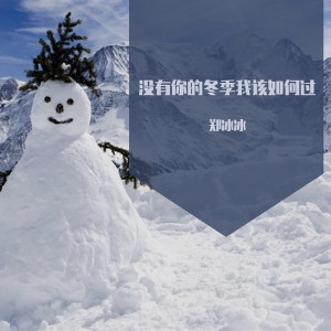 Listen to 没有你的冬季我该如何过 (完整版) song with lyrics from 郑冰冰