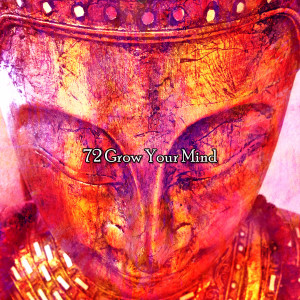 收听Yoga Soul的Mentally Healing歌词歌曲