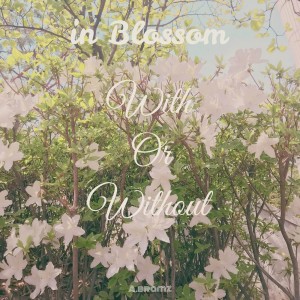 Listen to in Blossom song with lyrics from A.bramz