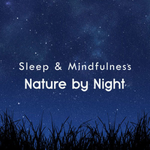 Sleepy Times的專輯Nature by Night (Sleep & Mindfulness)